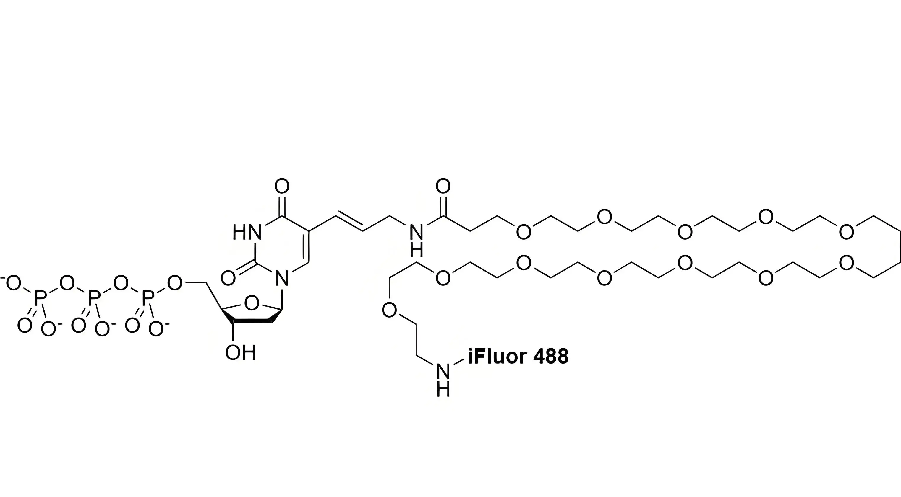 iFluor488-PEG12-dUTP，iFluor488-十二聚乙二醇-脫氧尿苷三磷酸的光譜特性解析及FISH濾光片選配指南