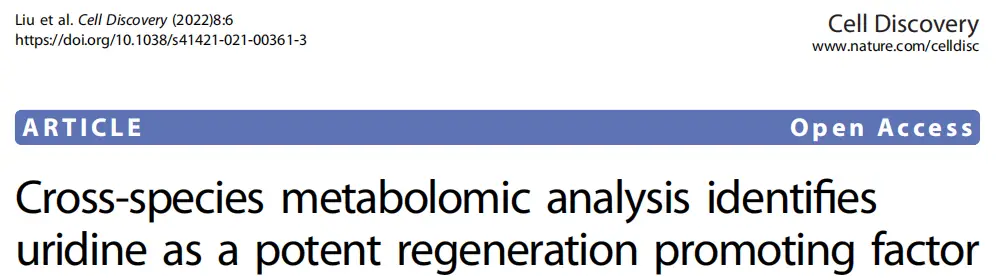 小動(dòng)物跑步機(jī)|跨物種代謝組學(xué)分析揭示尿苷是強(qiáng)大的促進(jìn)再生因子