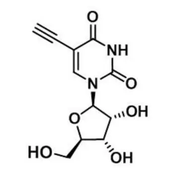 5-Ethynyluridine，5-EU，69075-42-9，核心結(jié)構(gòu)特點(diǎn)是在尿苷的5位碳上引入了一個(gè)乙炔基