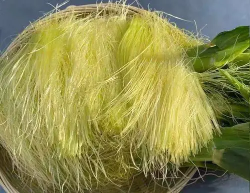 痛風(fēng)食療指南！8種低嘌呤食物建議常吃，溫和緩解不適少?gòu)?fù)發(fā)