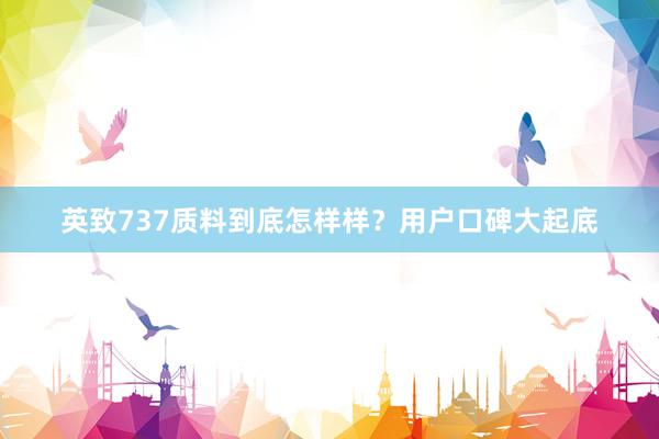 英致737质料到底怎样样？用户口碑大起底